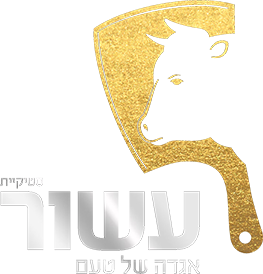 לוגו סטקיית העשור